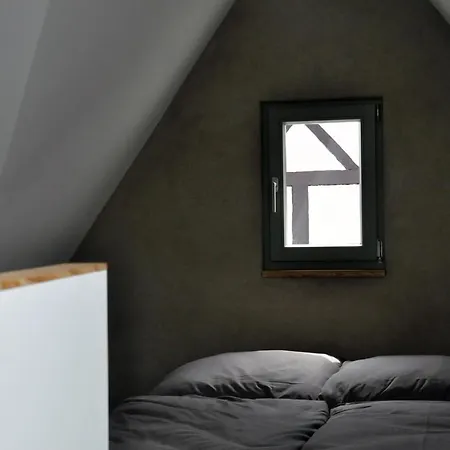Zum Schockelgaul Ein Pfalzjuwel In Forst ! Weinberge Und Pfaelzer Wald Vor Der Haustuer ! Etliche Restaurants Und Weingueter 1-5 Min Forst an der Weinstrasse