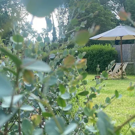 Zum Schockelgaul Apartment *