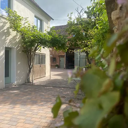 Appartement Zum Schockelgaul Ein Pfalzjuwel In Forst ! Weinberge Und Pfaelzer Wald Vor Der Haustuer ! Etliche Restaurants Und Weingueter 1-5 Min Forst an der Weinstrasse