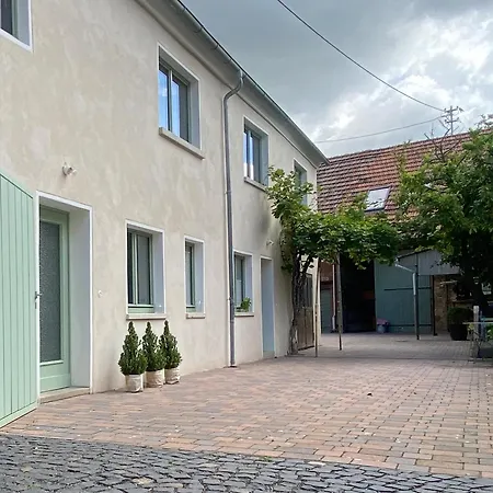 Zum Schockelgaul Ein Pfalzjuwel In Forst ! Weinberge Und Pfaelzer Wald Vor Der Haustuer ! Etliche Restaurants Und Weingueter 1-5 Min *