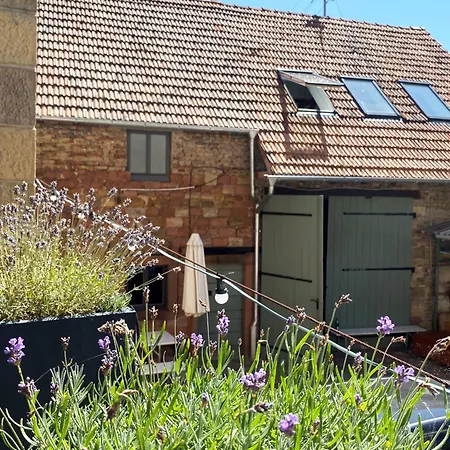 Zum Schockelgaul Ein Pfalzjuwel In Forst ! Weinberge Und Pfaelzer Wald Vor Der Haustuer ! Etliche Restaurants Und Weingueter 1-5 Min 公寓 Forst an der Weinstrasse
