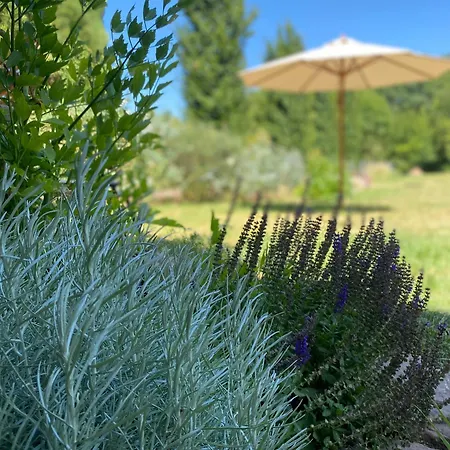 Zum Schockelgaul Apartment *