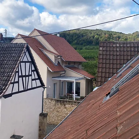 Zum Schockelgaul Ein Pfalzjuwel In Forst ! Weinberge Und Pfaelzer Wald Vor Der Haustuer ! Etliche Restaurants Und Weingueter 1-5 Min * Forst an der Weinstrasse