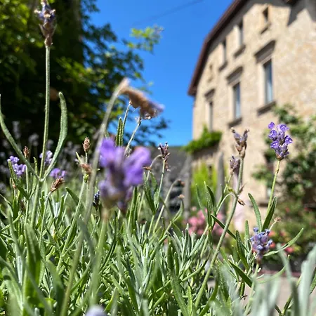 Zum Schockelgaul Ein Pfalzjuwel In Forst ! Weinberge Und Pfaelzer Wald Vor Der Haustuer ! Etliche Restaurants Und Weingueter 1-5 Min