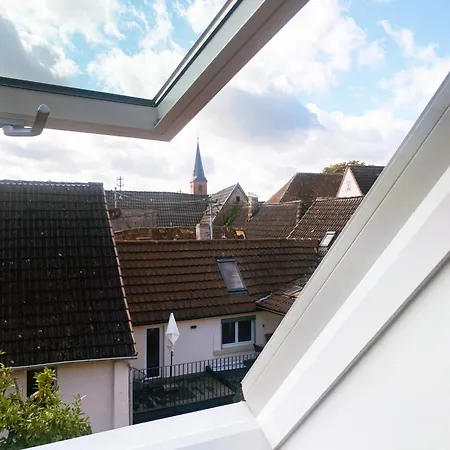 Zum Schockelgaul Ein Pfalzjuwel In Forst ! Weinberge Und Pfaelzer Wald Vor Der Haustuer ! Etliche Restaurants Und Weingueter 1-5 Min Apartment