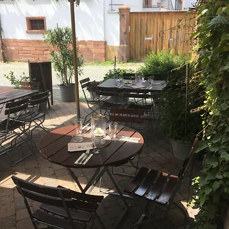 Zum Schockelgaul Ein Pfalzjuwel In Forst ! Weinberge Und Pfaelzer Wald Vor Der Haustuer ! Etliche Restaurants Und Weingueter 1-5 Min Apartment