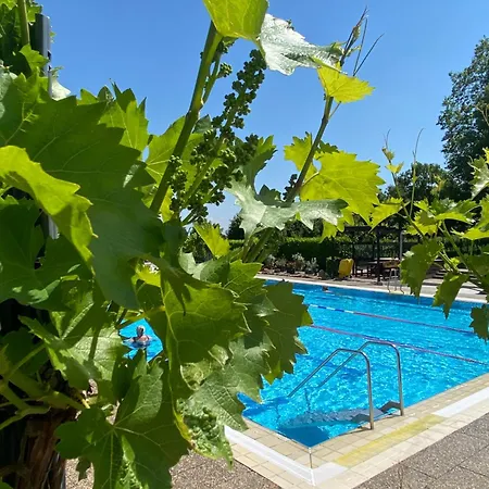 Zum Schockelgaul Ein Pfalzjuwel In Forst ! Weinberge Und Pfaelzer Wald Vor Der Haustuer ! Etliche Restaurants Und Weingueter 1-5 Min Appartement Forst an der Weinstrasse