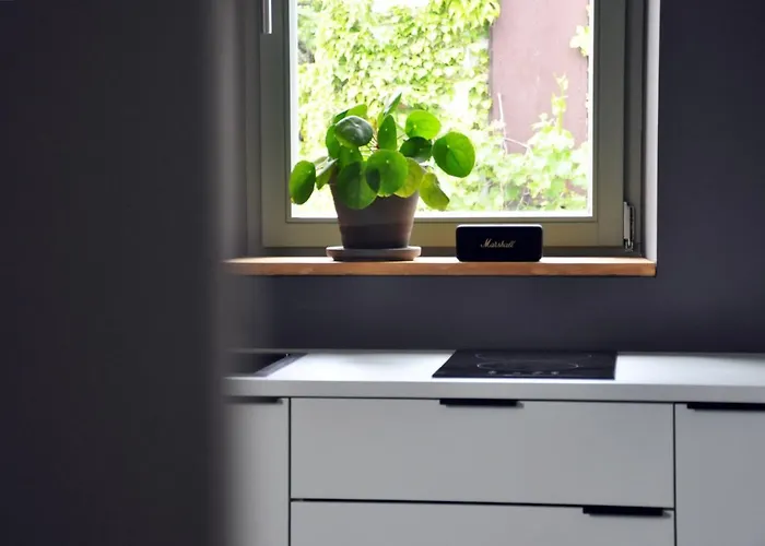 Zum Schockelgaul Forst an der Weinstrasse