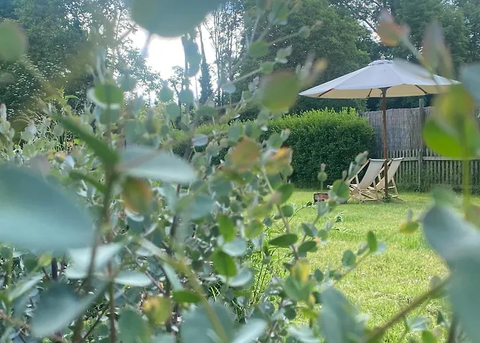 Zum Schockelgaul Ein Pfalzjuwel In Forst ! Weinberge Und Pfaelzer Wald Vor Der Haustuer ! Etliche Restaurants Und Weingueter 1-5 Min Apartmán *