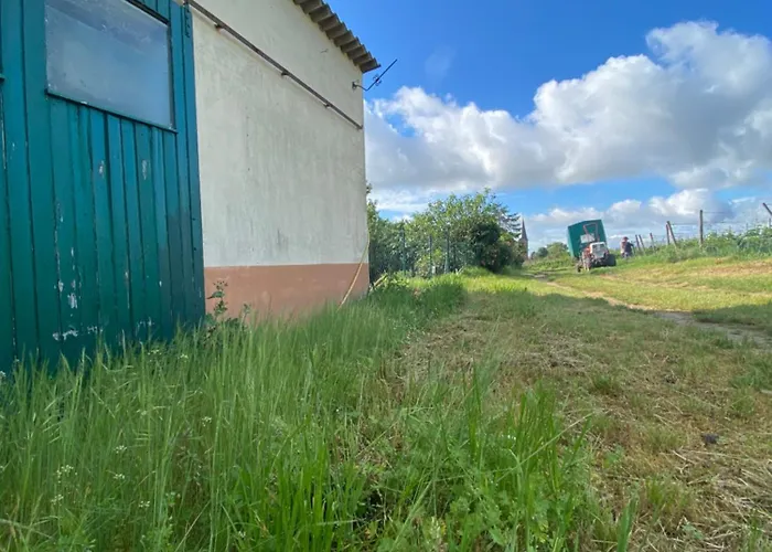 Zum Schockelgaul Ein Pfalzjuwel In Forst ! Weinberge Und Pfaelzer Wald Vor Der Haustuer ! Etliche Restaurants Und Weingueter 1-5 Min Apartmán