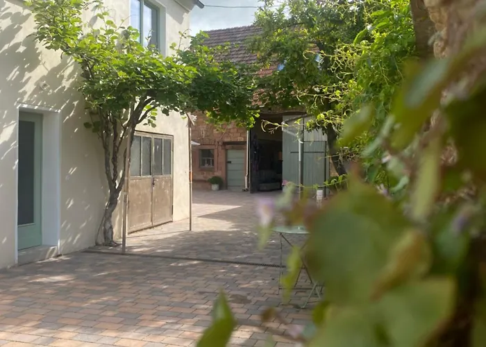 Apartmán Zum Schockelgaul Ein Pfalzjuwel In Forst ! Weinberge Und Pfaelzer Wald Vor Der Haustuer ! Etliche Restaurants Und Weingueter 1-5 Min Forst an der Weinstrasse