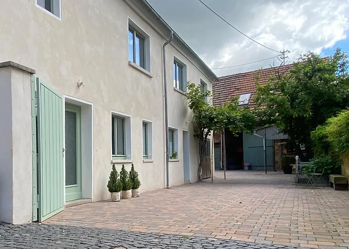 Zum Schockelgaul Ein Pfalzjuwel In Forst ! Weinberge Und Pfaelzer Wald Vor Der Haustuer ! Etliche Restaurants Und Weingueter 1-5 Min *