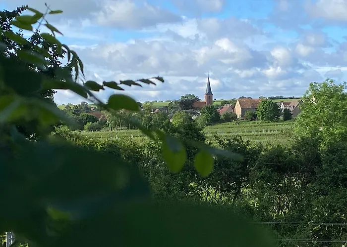 Zum Schockelgaul Ein Pfalzjuwel In Forst ! Weinberge Und Pfaelzer Wald Vor Der Haustuer ! Etliche Restaurants Und Weingueter 1-5 Min