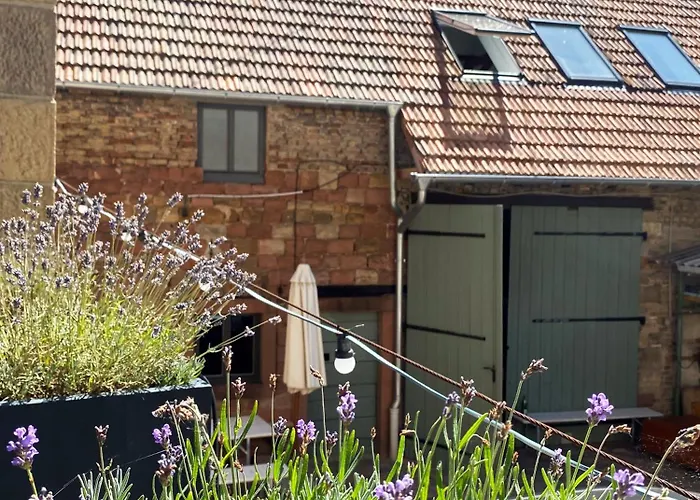 Zum Schockelgaul Ein Pfalzjuwel In Forst ! Weinberge Und Pfaelzer Wald Vor Der Haustuer ! Etliche Restaurants Und Weingueter 1-5 Min Apartmán Forst an der Weinstrasse