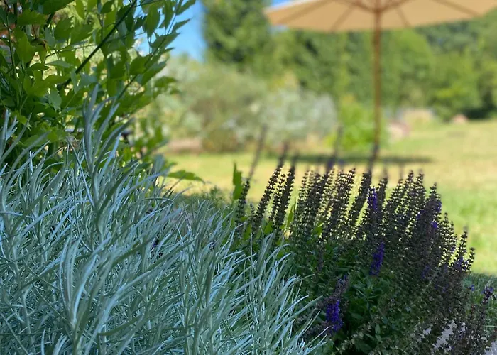 Zum Schockelgaul Ein Pfalzjuwel In Forst ! Weinberge Und Pfaelzer Wald Vor Der Haustuer ! Etliche Restaurants Und Weingueter 1-5 Min Apartmán *