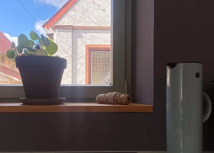 Zum Schockelgaul Forst an der Weinstrasse