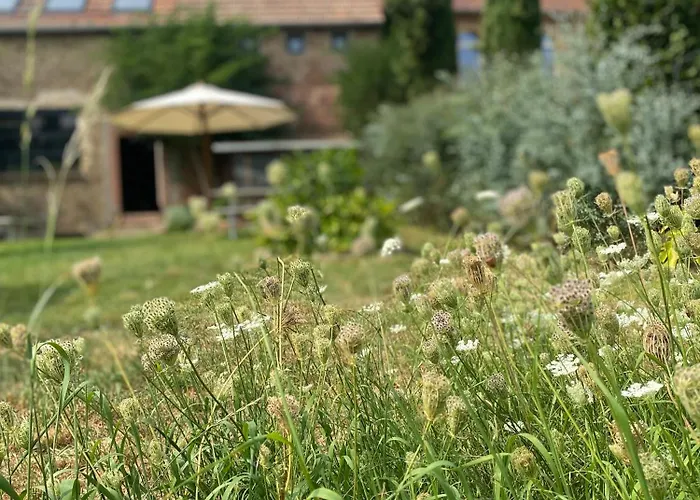 Zum Schockelgaul Ein Pfalzjuwel In Forst ! Weinberge Und Pfaelzer Wald Vor Der Haustuer ! Etliche Restaurants Und Weingueter 1-5 Min Apartmán