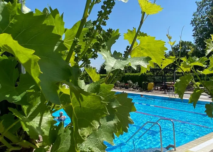 Zum Schockelgaul Ein Pfalzjuwel In Forst ! Weinberge Und Pfaelzer Wald Vor Der Haustuer ! Etliche Restaurants Und Weingueter 1-5 Min Apartmán Forst an der Weinstrasse